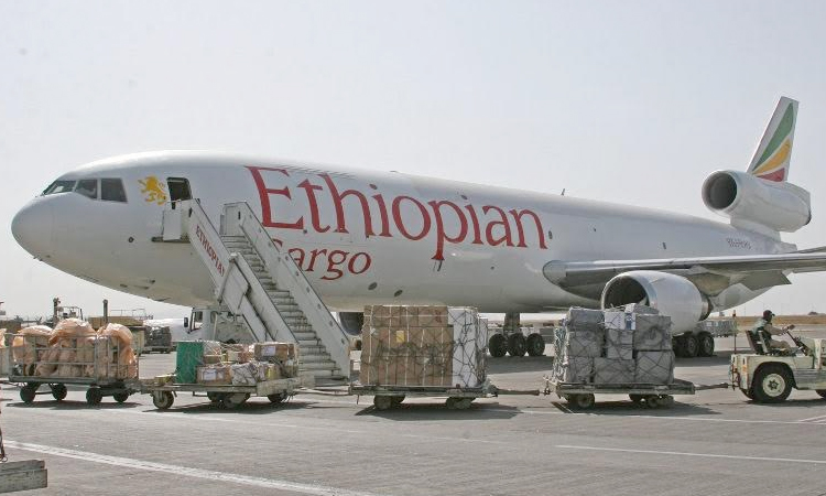 Photo of Les nouveaux maillots du Real Madrid pour la saison